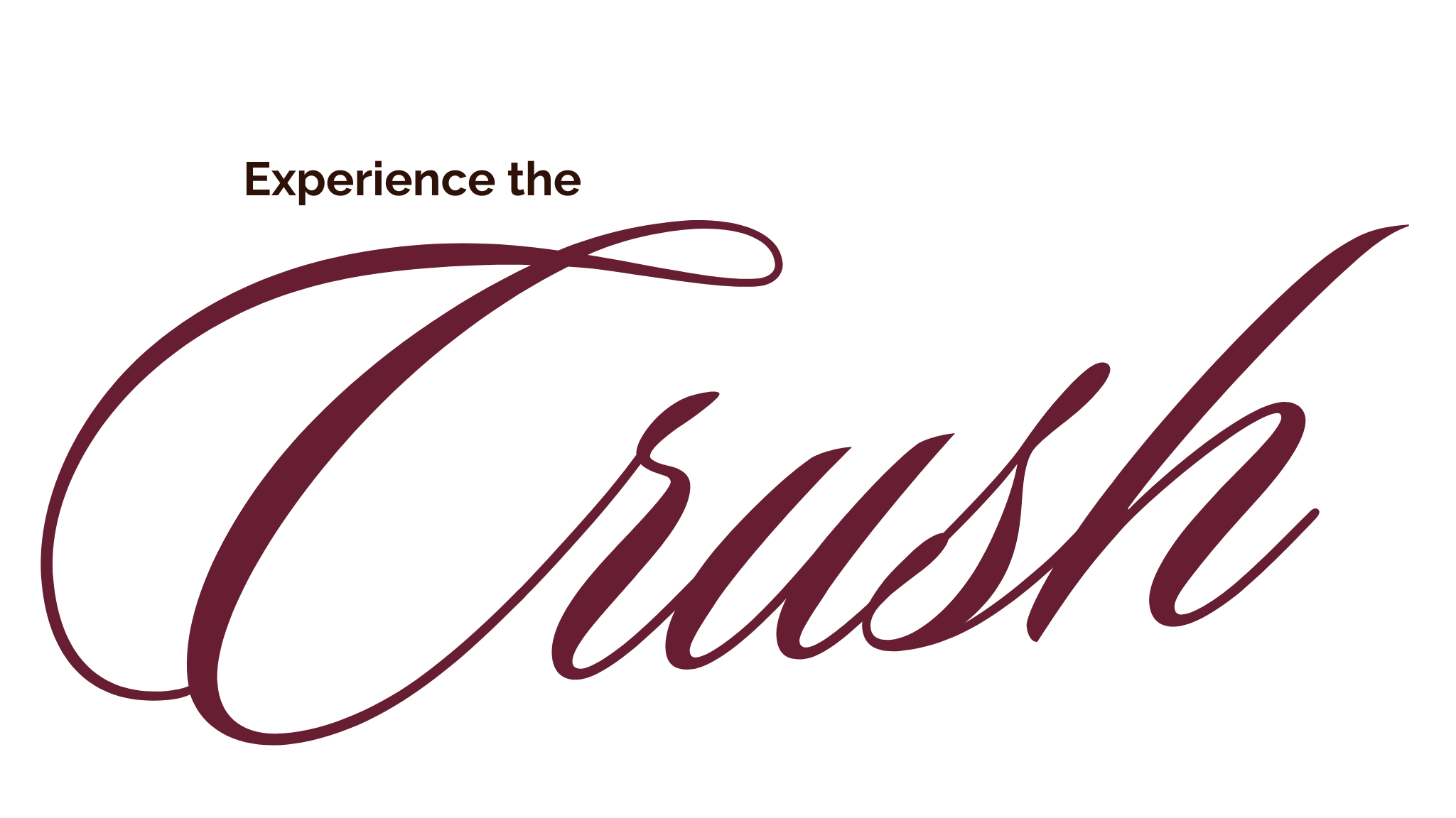 Experience the Truth — typographic brand statement
