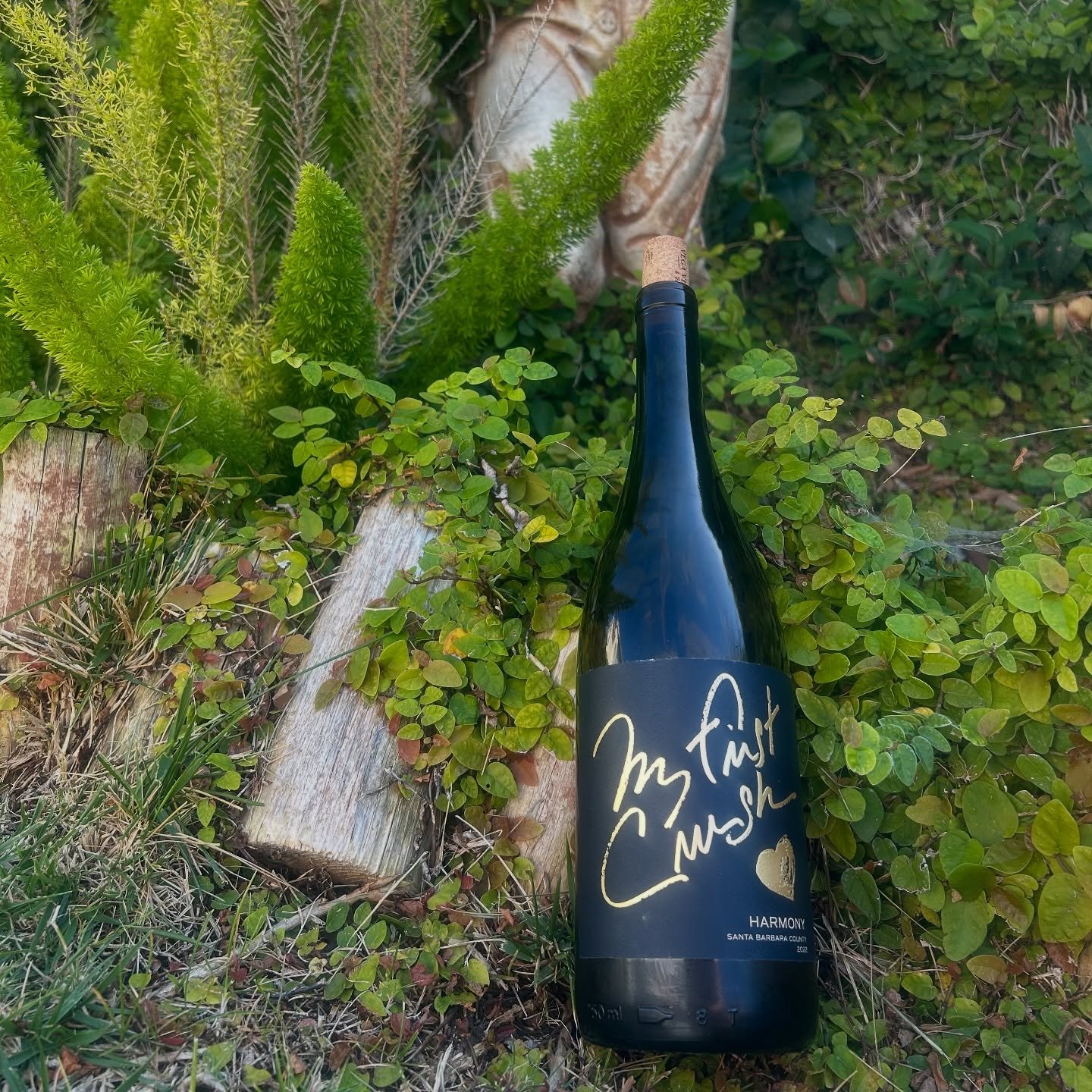 Wine bottle among dark foliage in garden